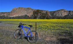 Arapiles Cycling Event