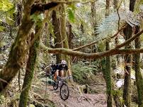 Whaka 100 MTB Marathon