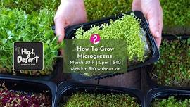 How To Grow Microgreens with High Desert Horticulture