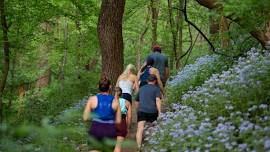 Nature Hike