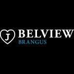 Belview Brangus Bull Sale