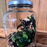 Tropical Terrarium Workshop