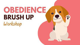 Obedience Brush Up Workshop