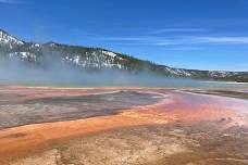 Full-Day Customizable Yellowstone National Park Tour