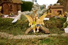 Fairy Garden Class