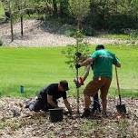 Arbor Day at Meadow Brook