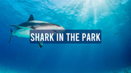 Shark In The Park