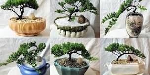 Bonsai Class with Ashton Ferns