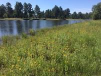 Pee Dee Pond Management Expo