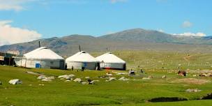 Best of Mongolia