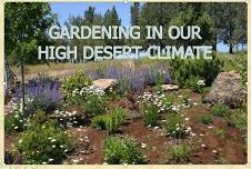 Gardening in our High Desert Climate