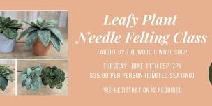 Leafy Plant Need Felting Class