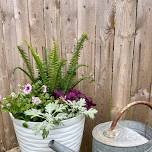 Let's Plant a Porch Pot!