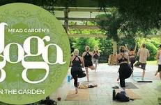 Yoga in the Garden