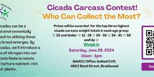 Cicada Carcass Collection Contest