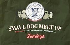 Small Dog Meet Up Sunday