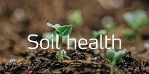 SOIL HEALTH TRAINING