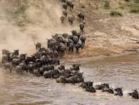 5 Days Tarangire, Lake Manyara and Ngorongoro Crater Budget Lodge Safari Tour in Tanzania