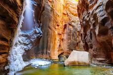 Winter Wonders in Zion National Park with Michael DeYoung