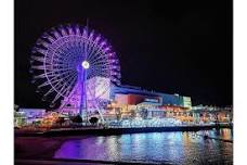 Private Night Sightseeing Tour in Shizuoka: Ferris Wheel Experience and Scenic Overlooks