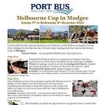 2024 Melbourne Cup in Mudgee