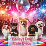 Baileys Doggy Disco