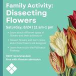 Family Activity: Dissecting Flowers