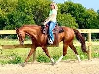 2-Day Horsemanship Clinic