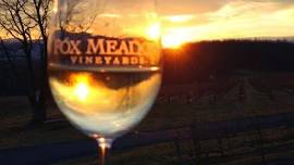 Sunset in the Vineyard: Robbie Limon