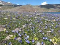 Three countries in one May tour: Azerbaijan+Georgia+Armenia