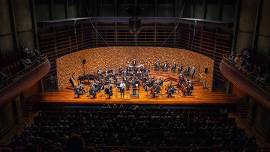 Tasmanian Symphony Orchestra concert screenings