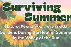 Surviving Summer - How to Extend Your Vegetable Gardens During the Heat of the Summer