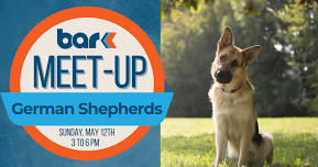 Breed Meet-Up: German Shepherds