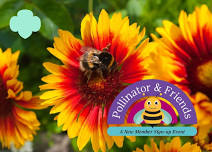 Fryeburg | Pollinator & Friends: A Girl Scouts Information & Sign-up Event