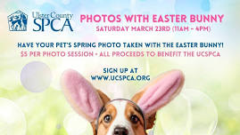 Easter Bunny Pet Photos