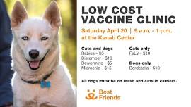 Low Cost Vaccine Clinic