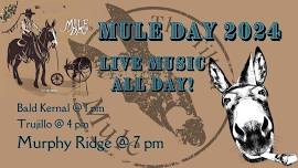 Mule Day 2024