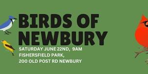 Birds of Newbury