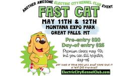 Electric City Kennel Club-Fast Cat