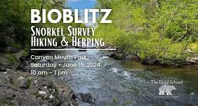 Snorkel Survey, Hiking, and Herping - BioBlitz 2024