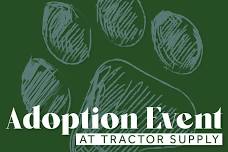 Adoption Event at Tractor Supply in Plaistow