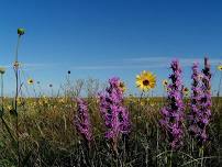 Prairie Exhibition