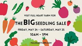 Annual Seedling Sale