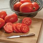 Tomato Tasting 2024