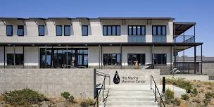 Visit The Marine Mammal Center