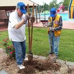 Planting roses and preparing diabetic kits for our food pantries.