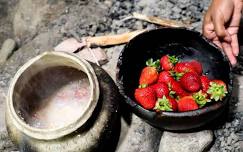 Strawberry Thanksgiving