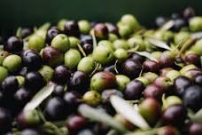 Olive drop off - community olive oil project