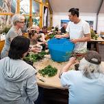 The Art of Bonsai Workshop