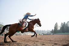 50 years of Rodeo- Truckee Professional Rodeo